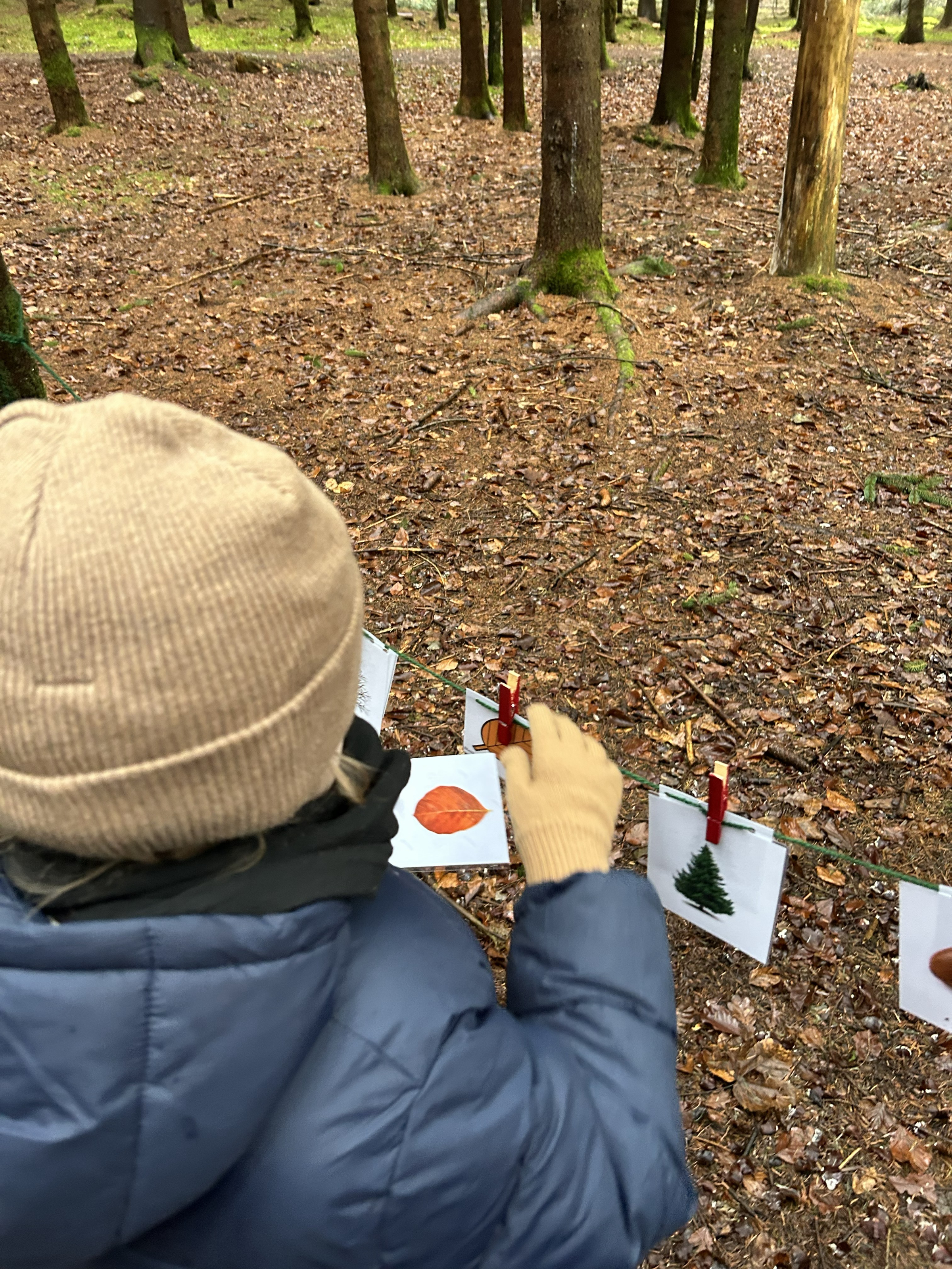 Waldturnen mit der Basisstufe